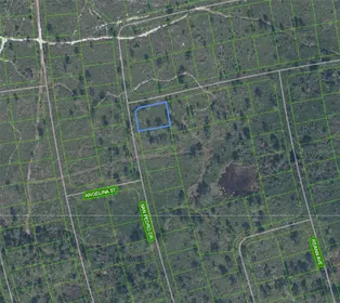 SEBRING FL Property
