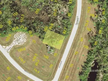 PLACIDA FL Property