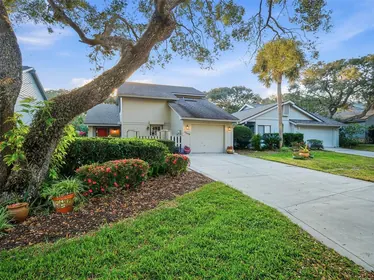 NEW SMYRNA BEACH FL Home