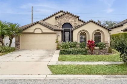 WESLEY CHAPEL FL Home