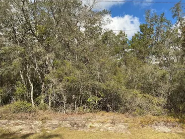 OCKLAWAHA FL Property