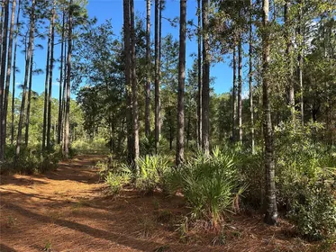 BEVERLY HILLS FL Property