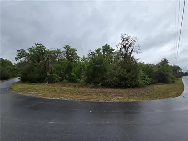 DUNNELLON FL Property
