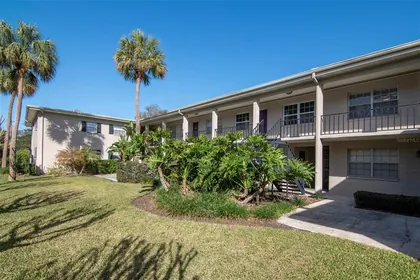 TAMPA FL Home