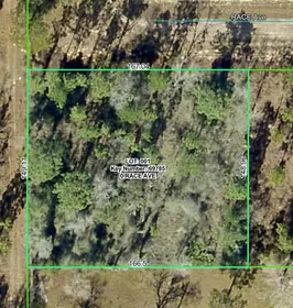 WEEKI WACHEE FL Property