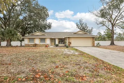 BRANDON FL Home