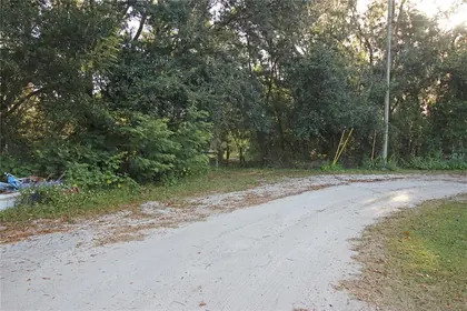 BARTOW FL Property