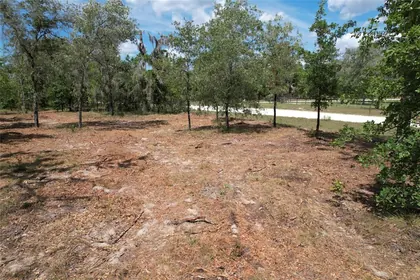 MORRISTON FL Property