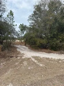 CRYSTAL RIVER FL Property