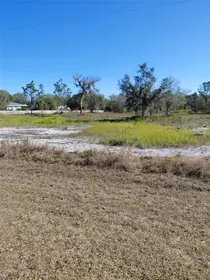MYAKKA CITY FL Property