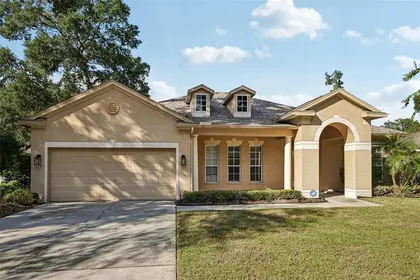 VALRICO FL Home