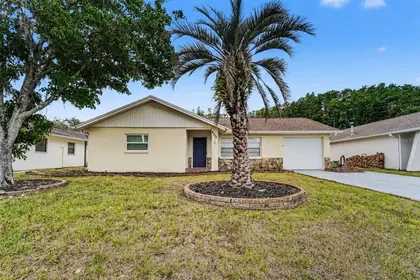 NEW PORT RICHEY FL Home