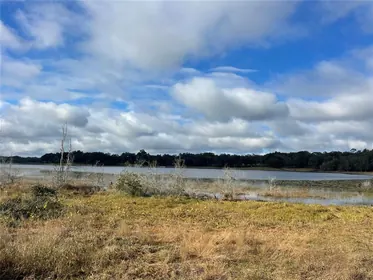 LADY LAKE FL Property