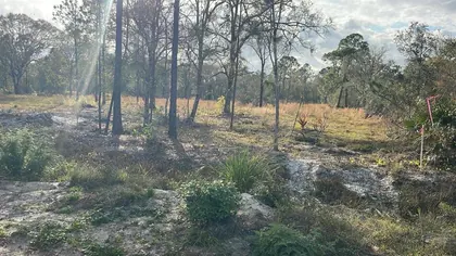 FROSTPROOF FL Property