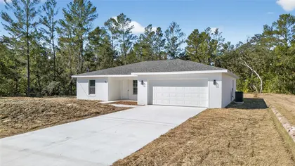 OCKLAWAHA FL Home