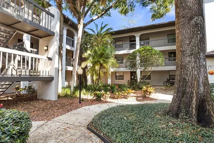 PALM HARBOR FL Home