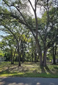SUMMERFIELD FL Property