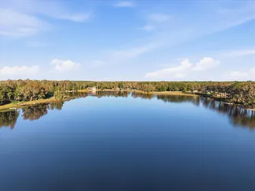 ODESSA FL Home