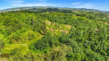 CIDRA PR Property
