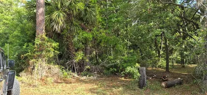 CHIEFLAND FL Property