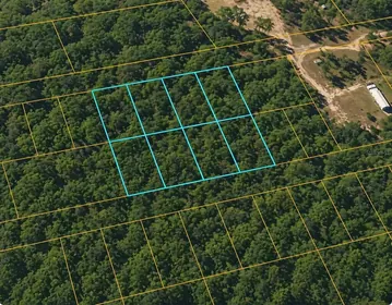 LIVE OAK FL Property