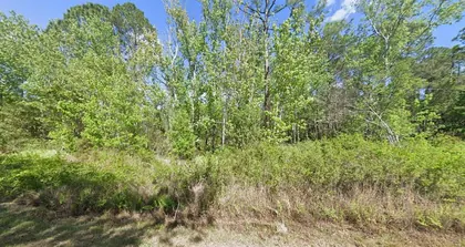GEORGETOWN FL Property