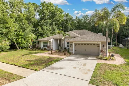 TARPON SPRINGS FL Home