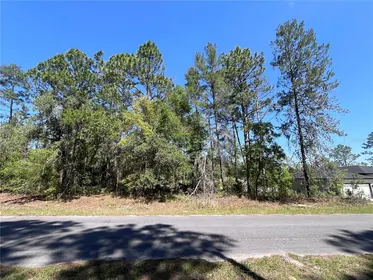 CITRUS SPRINGS FL Property