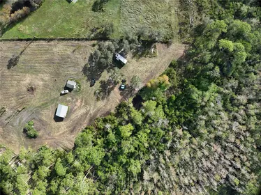 GROVELAND FL Property