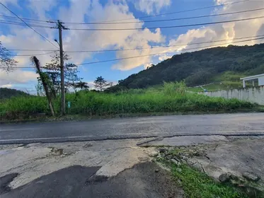 NAGUABO PR Property