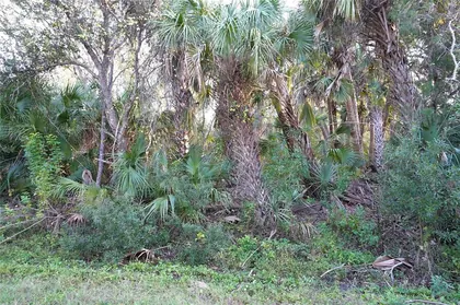 PORT CHARLOTTE FL Property