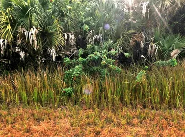 NORTH PORT FL Property