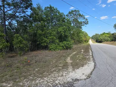 DUNNELLON FL Property