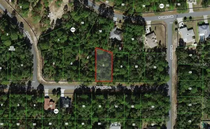 CITRUS SPRINGS FL Property
