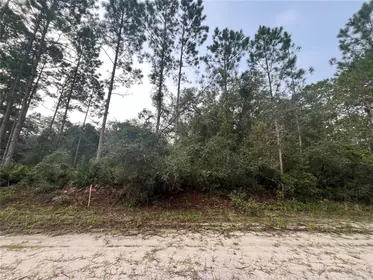 GEORGETOWN FL Property
