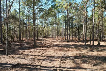 ARCHER FL Property