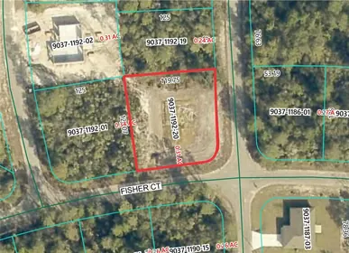 OCKLAWAHA FL Property
