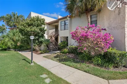 PALM HARBOR FL Home