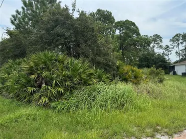 KISSIMMEE FL Property