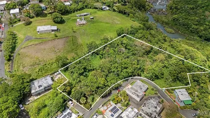 CIDRA PR Property
