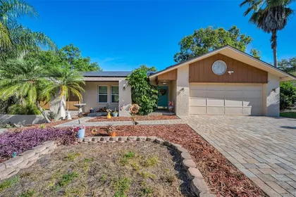 PALM HARBOR FL Home