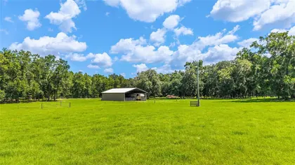 MORRISTON FL Property