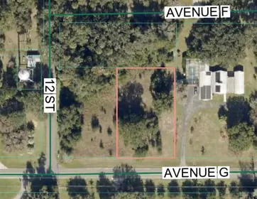 MC INTOSH FL Property