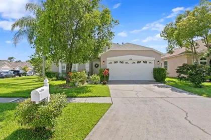 TAMPA FL Home