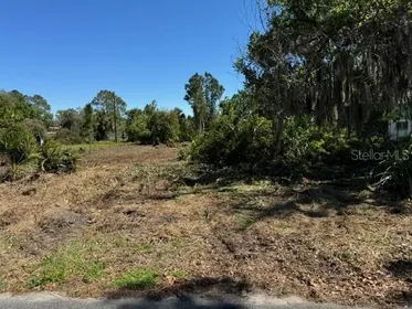 TAVARES FL Property