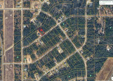 WEEKI WACHEE FL Property