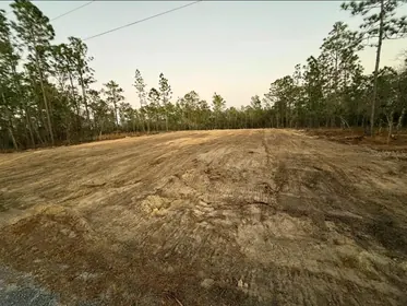DUNNELLON FL Property