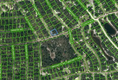 LAKE PLACID FL Property