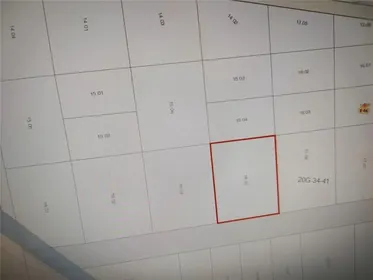 MIMS FL Property