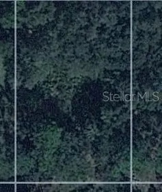PORT CHARLOTTE FL Property